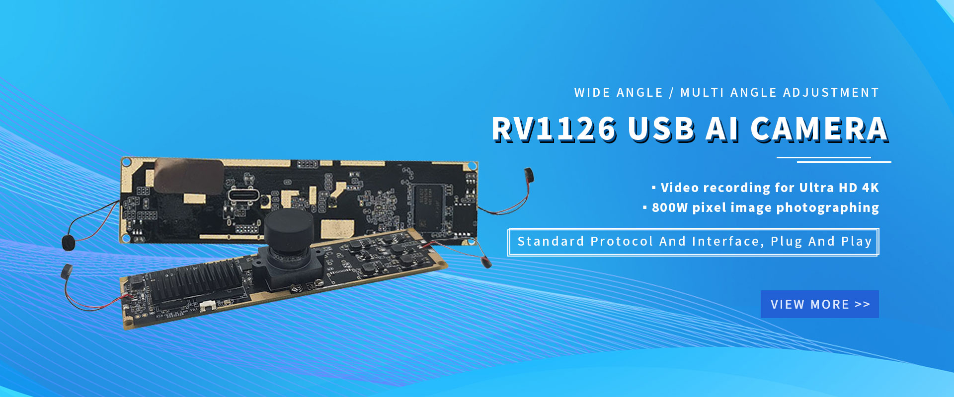 Sina Development Ornamentum Portitorem Board Proin