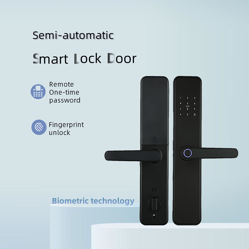 Fingerprint Password Semiconductor